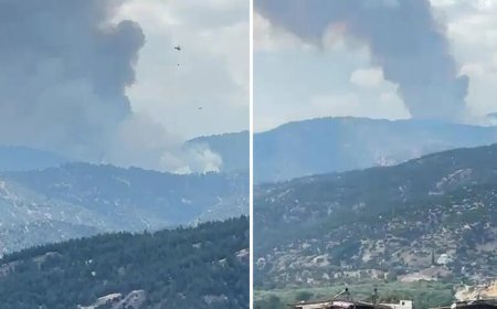 Aydın Kuyucak'ta orman yangını. Meteoroloji kritik saatlere dikkat çekti