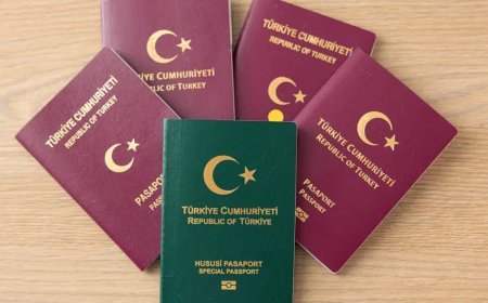 Bakan Çiftçi şartları açıkladı. Bu kişiler de yeşil pasaport alabiliyor