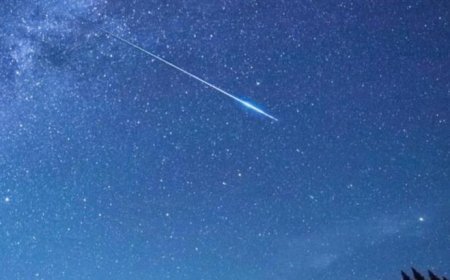 Perseid Meteor yağmuru Düzce’de böyle görüldü