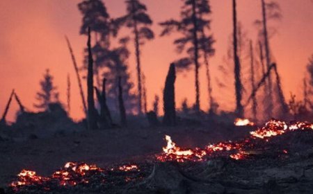 Almanya alevlerle mücadele ediyor! Bin 800 kişi tahliye ediliyor