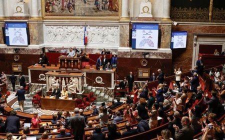 Fransa Anayasa Konseyi ötanazi yasasını onayladı