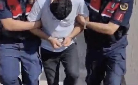 Edremit’teki orman yangına ilişkin 1 tutuklama