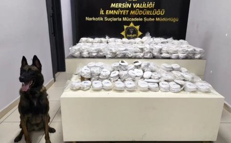 Mersin Limanı’nda 13 milyon liralık kokain operasyonu
