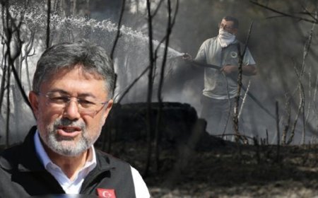 Marmaris'te orman yangını! Bakan Yumaklı son durumu açıkladı