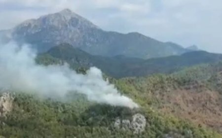 Balıkesir'de orman yangını
