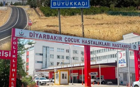 Küçük çocuk entübe edilmişti. Kediden kuduz geçer mi?