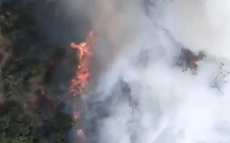 Sındırgı'da orman yangını. Ekipler olay yerinde