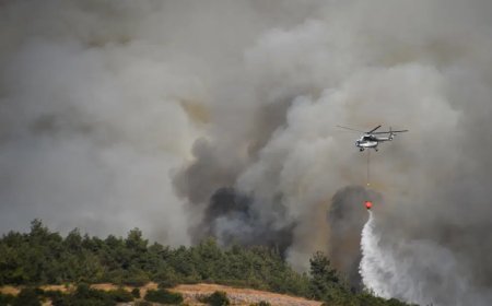 Balıkesir'de orman yangını. Kamyonda başlayan yangın ormana sıçradı