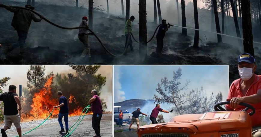 Alanya ve Marmara Adası'nda orman yangını