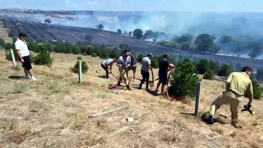 Tekirdağ’da yangın; 100 dekar alan zarar gördü