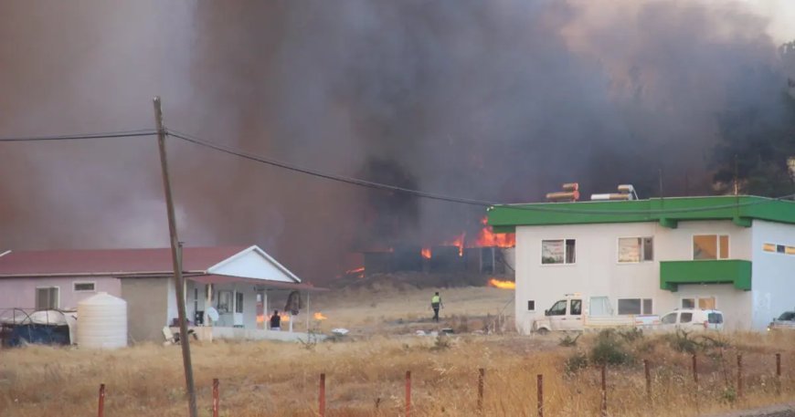 Çanakkale'de ormanlık alanda yangın çıktı