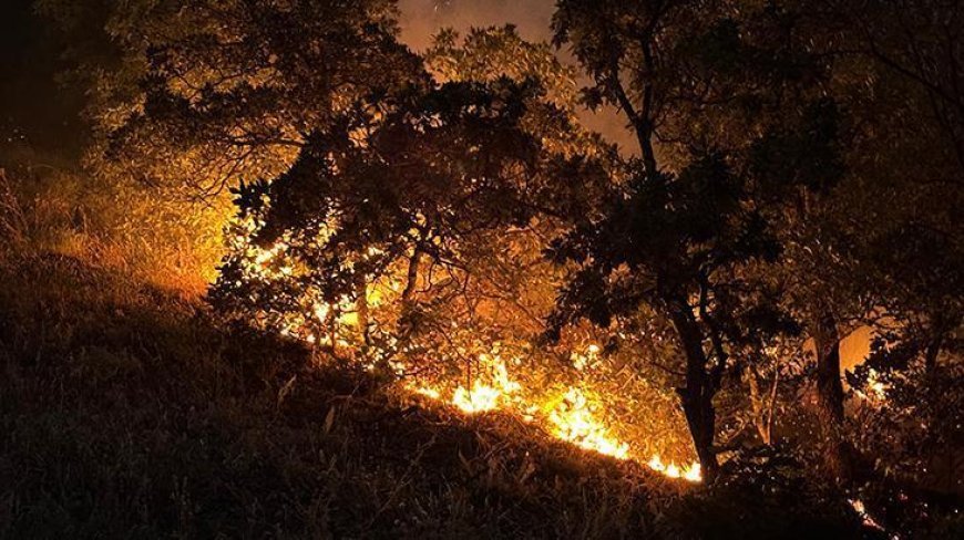 Tunceli'de korkutan yangın: Munzur Vadisi Milli Parkı'ndaki alevler kontrol altına alındı