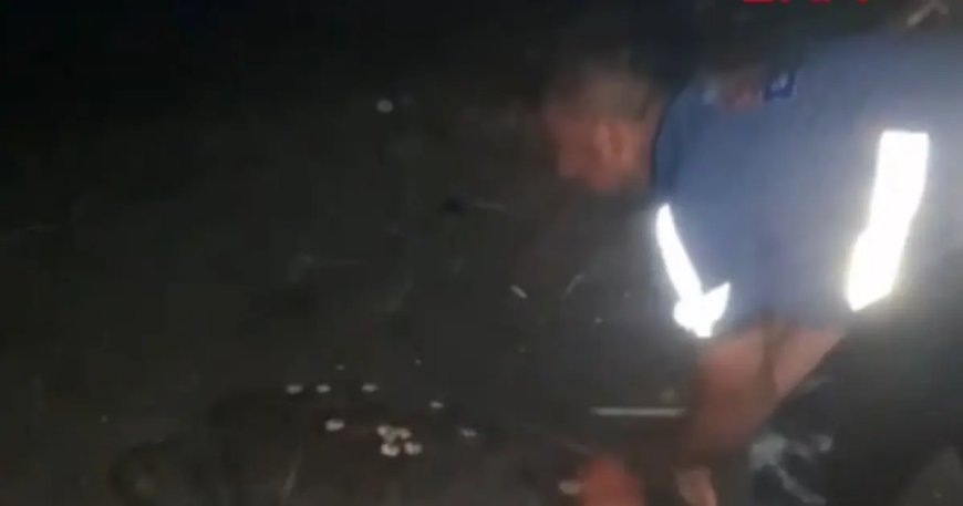 Sahilde yönünü şaşıran caretta carettayı vatandaşlar denize ulaştırdı