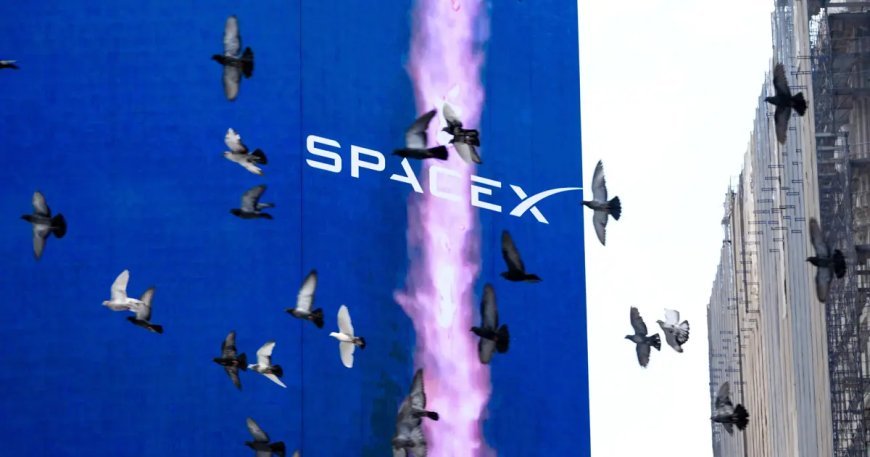 SpaceX rekor zarar açıklayacak. Hisseleri yarı yarıya eridi