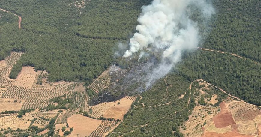 Muğla Yatağan'da orman yangını
