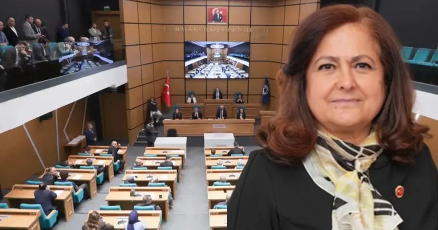 Üsküdar Belediyesi'nde başkanvekili Sibel Tan Çetinkaya oldu
