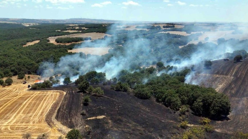 Tekirdağ'da itfaiye 7 ayda 8 bin 157 olaya müdahale etti