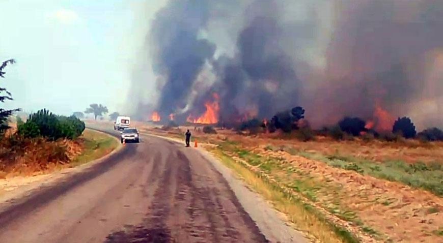 Edirne’de alevler ormana sıçradı! Havadan ve karadan müdahale sürüyor