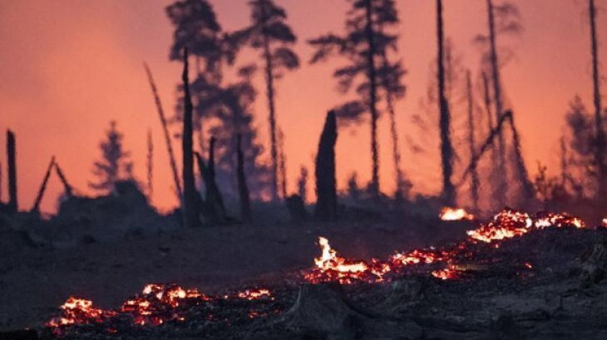 Almanya alevlerle mücadele ediyor! Bin 800 kişi tahliye ediliyor