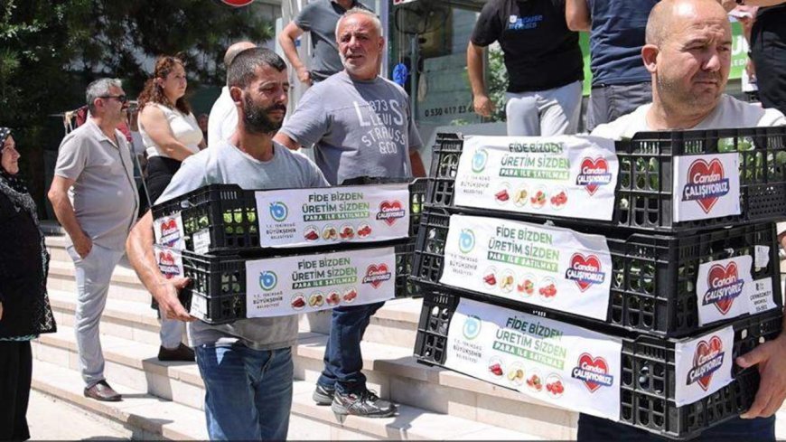 Tekirdağ Büyükşehir Belediyesi'nden kışlık sebze üretimine destek