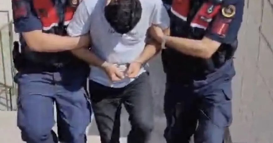 Edremit’teki orman yangına ilişkin 1 tutuklama