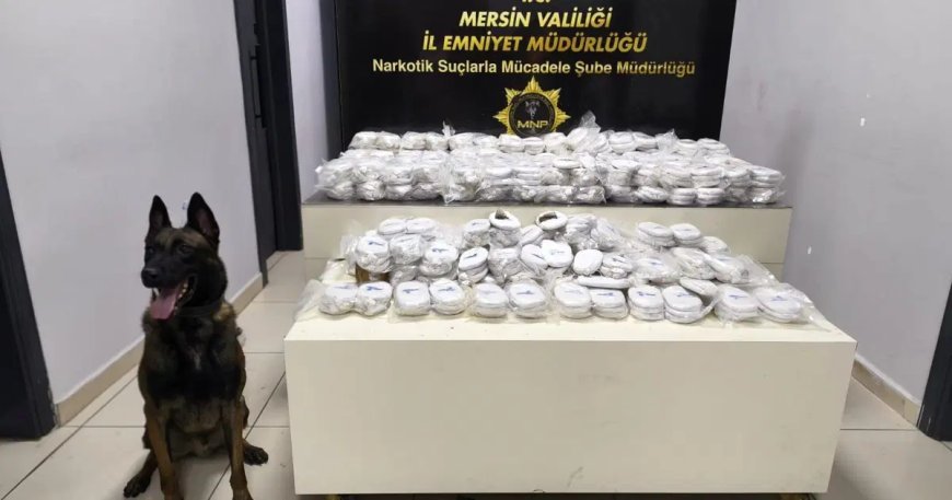 Mersin Limanı’nda 13 milyon liralık kokain operasyonu