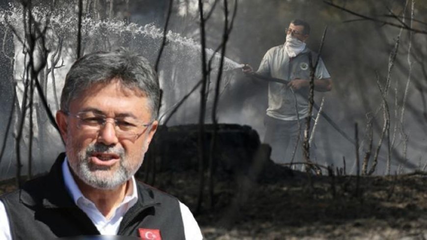 Marmaris'te orman yangını! Bakan Yumaklı son durumu açıkladı