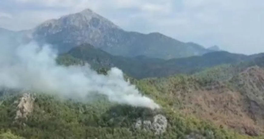 Balıkesir'de orman yangını