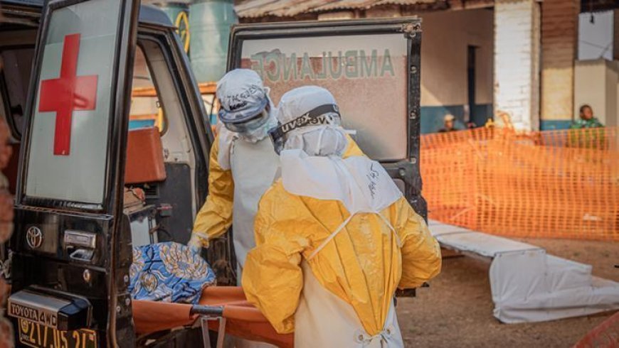 Kongo'da Ebola 'kasırgası': En ölümcül salgından 3 kıt hızlı ilerliyor!