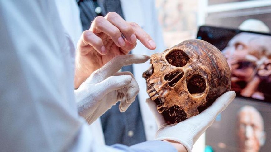 Yıllardır kimse fark etmedi! Bilim dünyası şokta: 'Yeni organ keşfedildi'