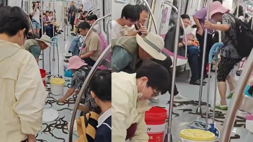 Metro yolculuğu kabusa döndü! Onlarca yılan vagonu bastı